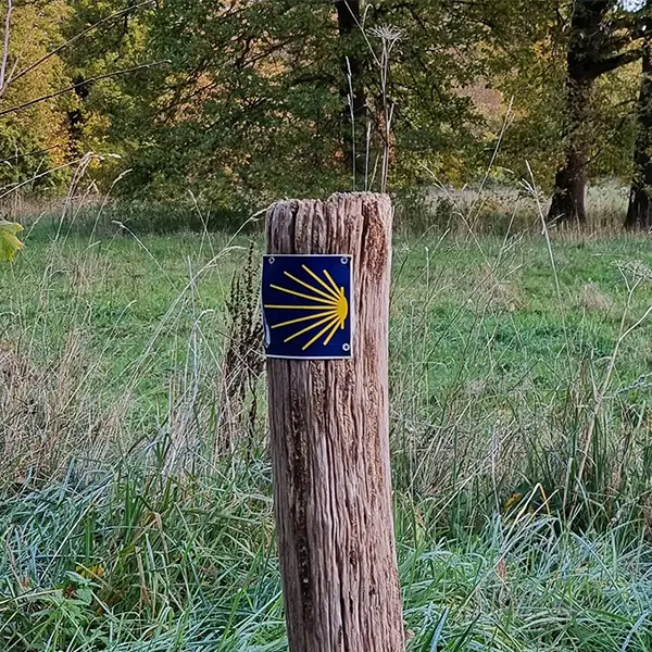 Wegwijzer met Jacobsschelp op Jacobspad Limburg in Schwienswei te Sittard